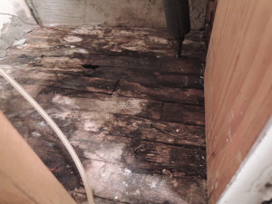 Oh yeah, floor damage