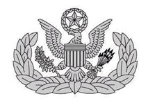 Master Military Emergency Management Specialist badge